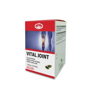 글루코사민+초록입홍합오일+상어연골/무릎 관절 연골/ 약 국판매