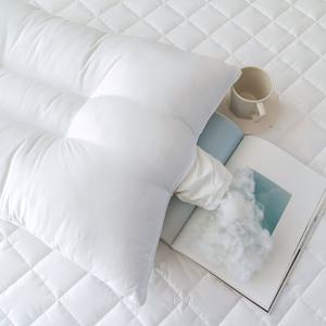 알러지케어 마이크로화이바 낮은 경추베개솜 5070