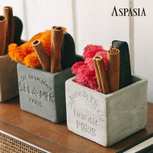 아도 모던 스칸디아모스 숯 화분 -공기정화,습도조절