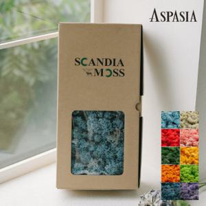 스칸디아모스 500g (10컬러) -공기정화,습기제거