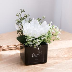 국화 성묘 화분 조화 꽃 안개 set 14cm 납골당 산소 추모 테이블 장식 인테리어