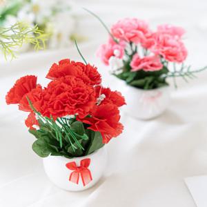카네이션 조화 화분 로아 Aset 13cm 2컬러 꽃 어버이날 스승의날 테이블 장식 감사 인테리어 존경