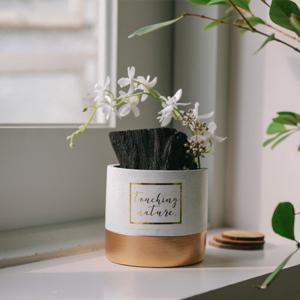 동양란꽃 핀 숯화분-공기정화, 미세먼지제거, 습도조절