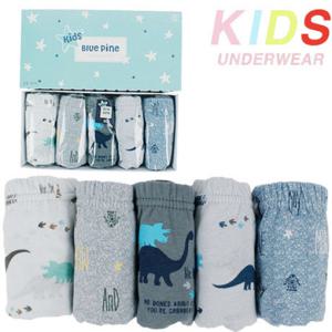 [블루핀] 남아동5매입 팬티 BMK0023