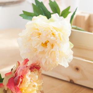 [3+1] 작약 조화 퀸피오니 가지 39cm 6컬러 인테리어 꽃 장식 소품 촬영 꾸미기