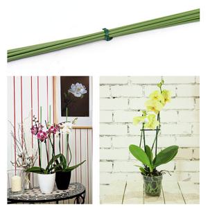 모종 화분 코팅 식물 지지대 지주대 소포장