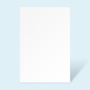 [현진]단면접착보드롱 SB600x900mm 5T