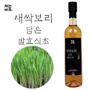 자연비초 새싹보리 담은 발효식초 500ml 무설탕 전통발효