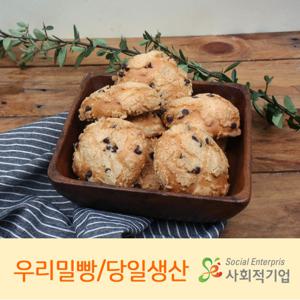 [씨튼베이커리] 초코칩 알갱이가 씨튼우리밀초코소보루빵(6개입)