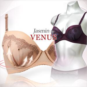 [비너스 자스민] 엘레강스 자수 레이스 몰드 브라 jbr1137