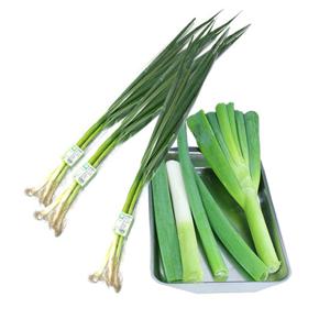 [오창농협] 친환경 대파 300g x 2봉