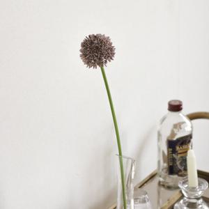 [포홈] 알리움 롱라인 화병세트