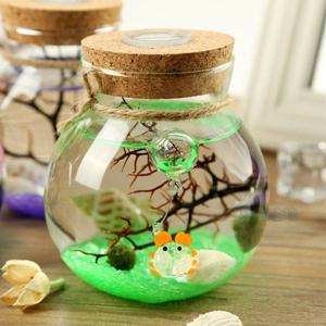 테라리움 화분 LED볼단지 350ml 마리모 어항 키우기