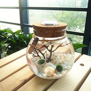 테라리움 화분 LED볼단지 1300ml 마리모 조명 유리병