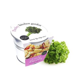 마이플랜트 양철키친가든 파슬리 텃밭 재배세트