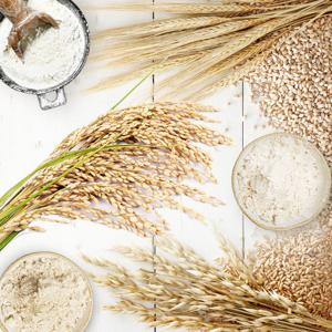 유기지기 유기농 쌀가루, 늘보리가루, 귀리가루 골라담기