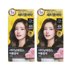 미쟝센 올뉴 샤이닝 에센스 염색약 4N 짙은갈색 2개팩