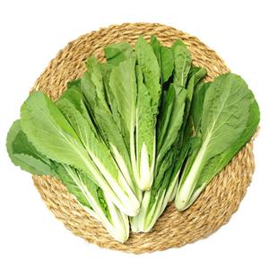 [오창농협] 친환경 얼갈이배추 500g x 2봉