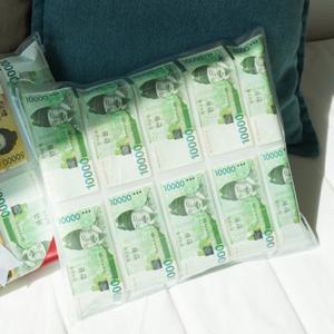 진짜 돈 베개 돈방석 포켓형 [용돈 선물 이벤트 어버이날]