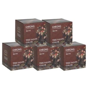 청담스타일 포레스트 더 살롱 컬러 아뜰리에 초코 브라운 x 5개