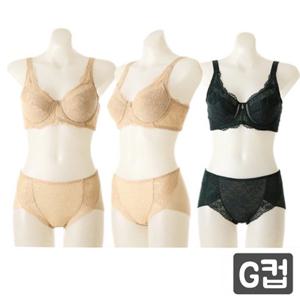 [비너스] 로맨틱 3단후크 풀컵 보정브라 햄라인팬티 VGBM150 VPTM150HK G컵 등살보정 기능브라 얇은패드