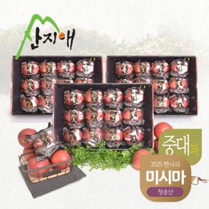 산지애 블랙라벨 사과 9kg (3kg*3박스,총 33~36과)