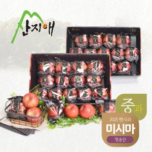 산지애 블랙라벨 사과 6kg (3kg*2박스, 총 26~28과)
