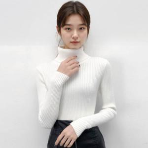 [리빌모아]여자 포근 도톰 기본 목폴라 골지 티 LDW-TSA-SSIS622