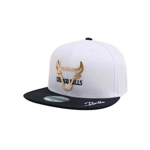 CHI 불스 아웃라인 메탈 스냅백 N255AP614P