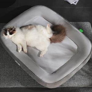 딩동펫 반려동물 딥슬립 타원형 방석 쿠션 XL