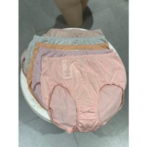 [비너스]칼라풀 100수 순면 팬티 5종SET (VPT6935)