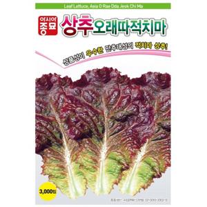 아시아종묘 씨앗 상추 오래따적치마 3000립