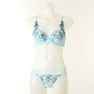 [와코루] AB컵 (WBR1957C-PTA-BU) 프린트 튤레이스모티브브라 백레이스팬티세트