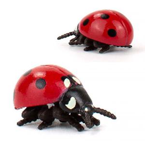 파포 동물학습 모형완구 레이디벅스 50257