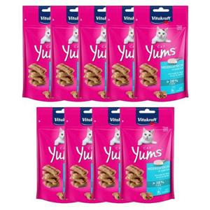 고양이 캣얌 오션피쉬 40g 9P 소프트 무설탕 간식 고양이트릿 고양이소프트트릿 고양이소프트간식 고양이간식 고양이무설탕간식 고양이기호성간식