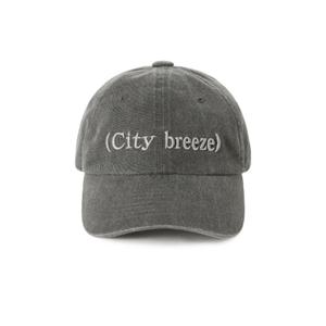 시티브리즈 피그먼트 뮤트 로고 자수 볼캡 BB CTH4CP04 CH BL