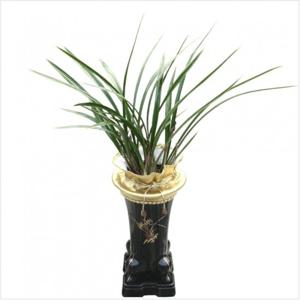 [젠틀맨플라워] 개업화분 동양란 철골소심 전국꽃배달