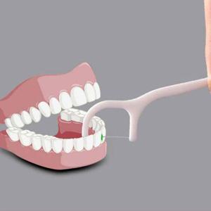 대용량 일회용 치실 치간치솔 이쑤시개 1100개입