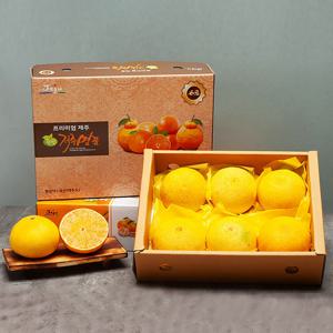 서귀포 현가원 황금향 2kg (6-10과, 실중량)