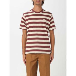 [DICKIES] 라프리마 남성 티셔츠 DK0A4Y8Y L161 Brown /6