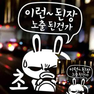 자동차스티커 이런된장노출된건가 초보 화이트 A타입 차량스티커 차량꾸미기