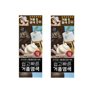 [미쟝센] 미쟝센 올뉴 쉽고빠른거품염색 4N 짙은갈색 2개