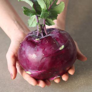 아삭아삭 달큰한 제주 콜라비 3kg (사이즈혼합)