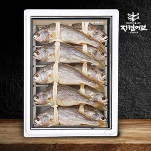 [자겸어보]궁중진상 부세보리굴비세트 1호(10미/30~32cm)