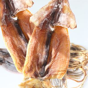 동해안 반건조오징어(특대)10마리