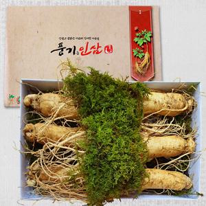 [풍기인삼] 6년근 풍기수삼(왕대) 750g(5~6뿌리)