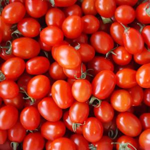 탱탱한 대추방울토마토 5kg(3-4번)