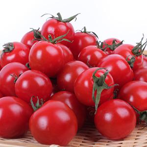 [팜쿡] 스테비아 방울토마토 500g 4팩