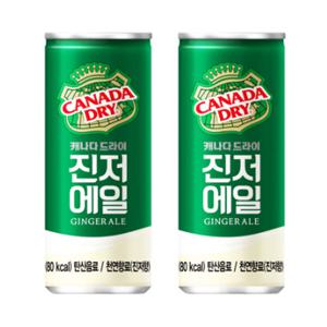 코카콜라 캐나다드라이 진저에일 250ml 30캔