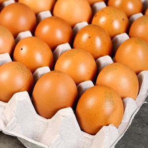 훈연한 훈제란 30구